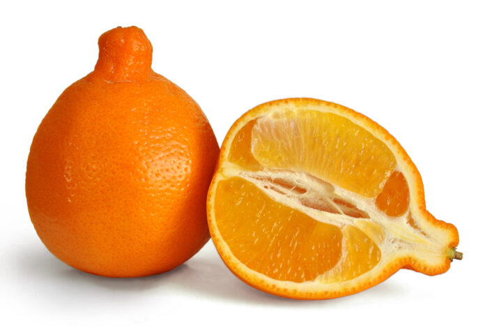 Interesting Facts About Minneola Fruit
