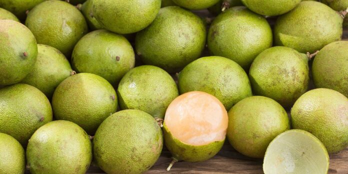 Interesting Facts About Mamoncillo